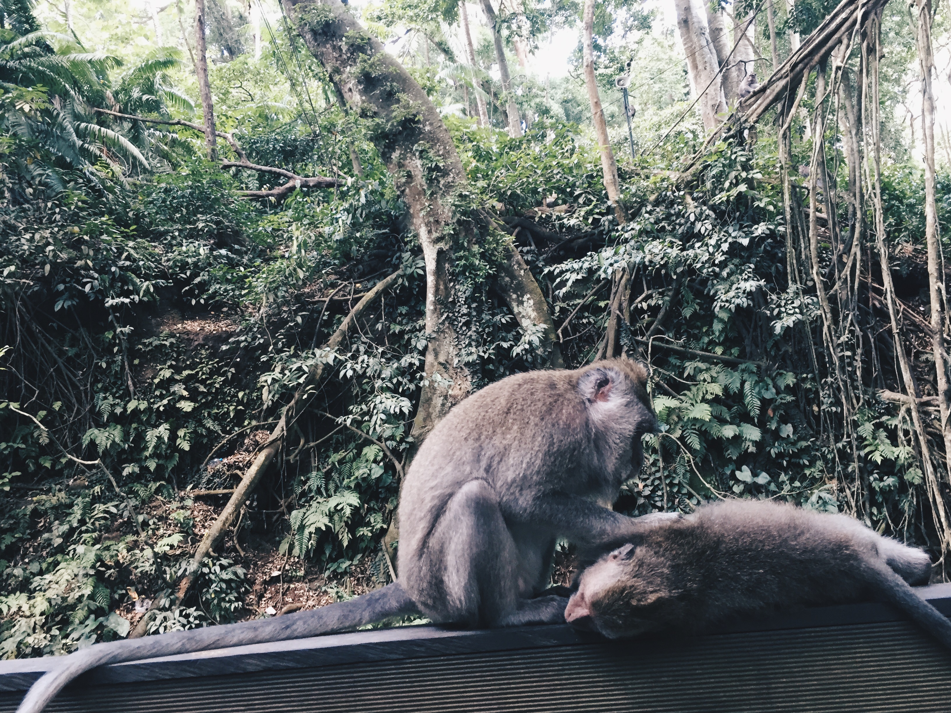 Processed with VSCO with hb2 preset