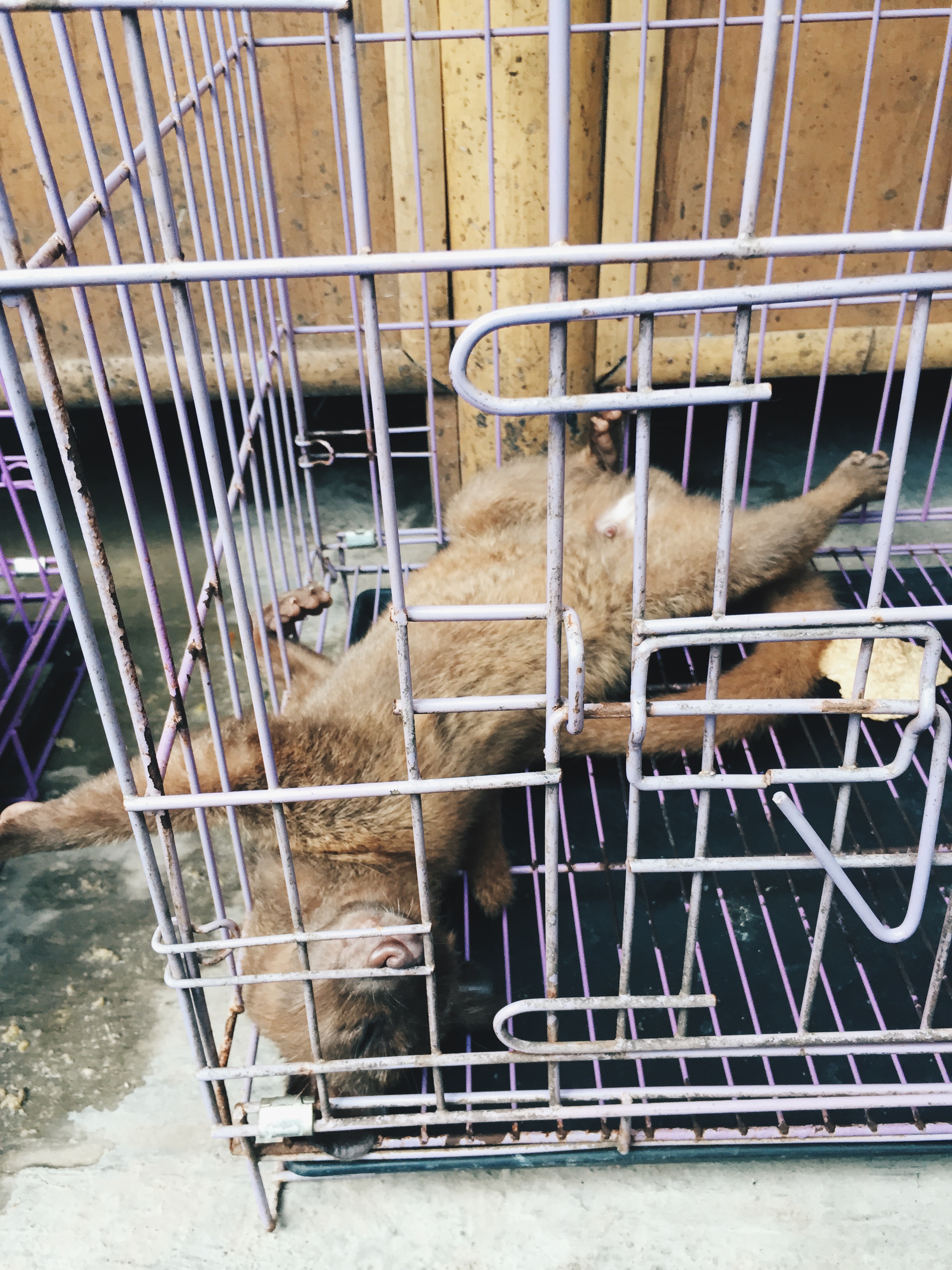 Processed with VSCO with hb2 preset