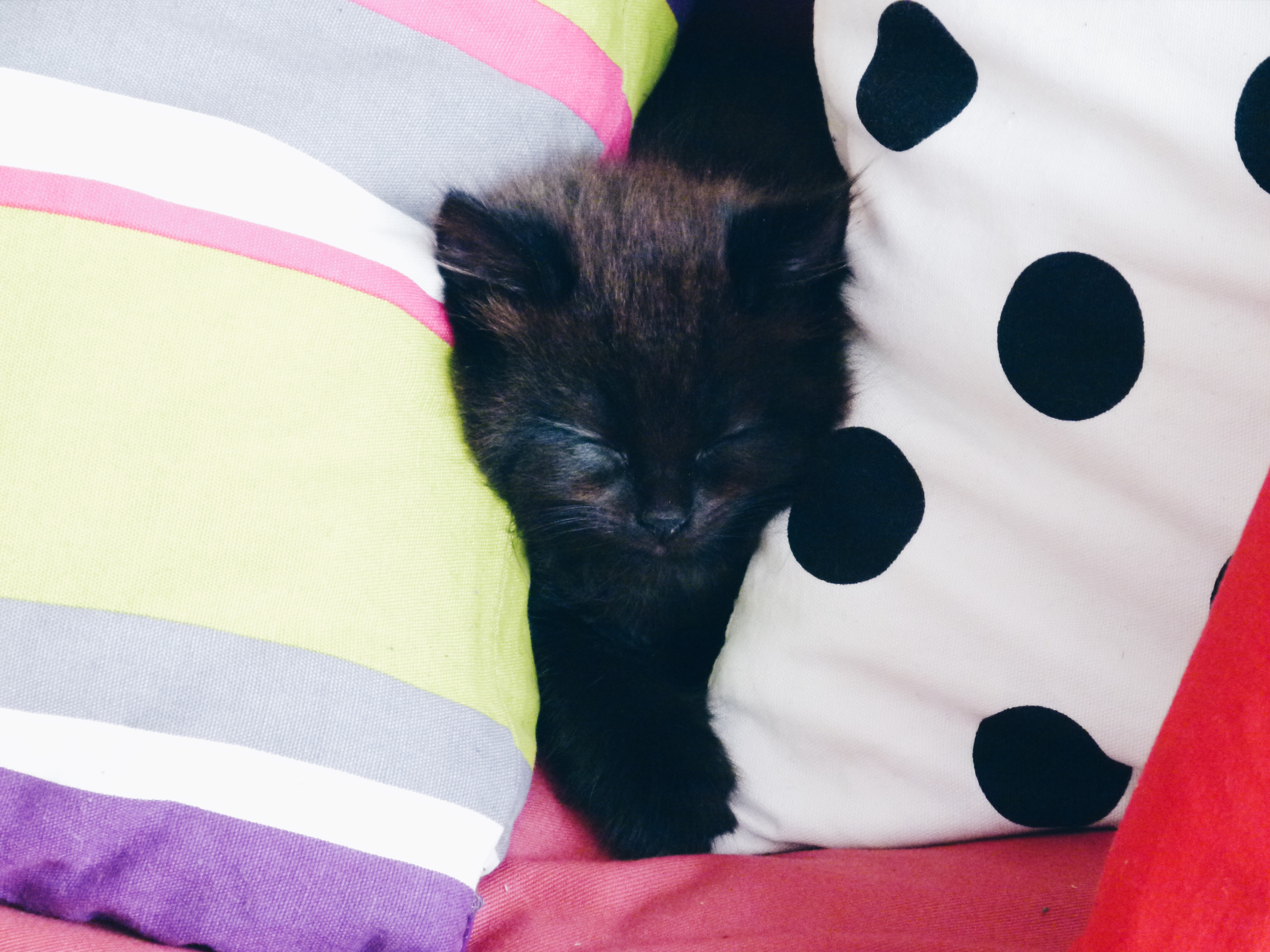 Processed with VSCO with hb1 preset