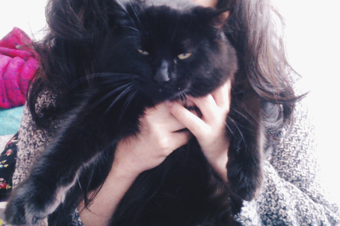 Processed with VSCO with hb2 preset