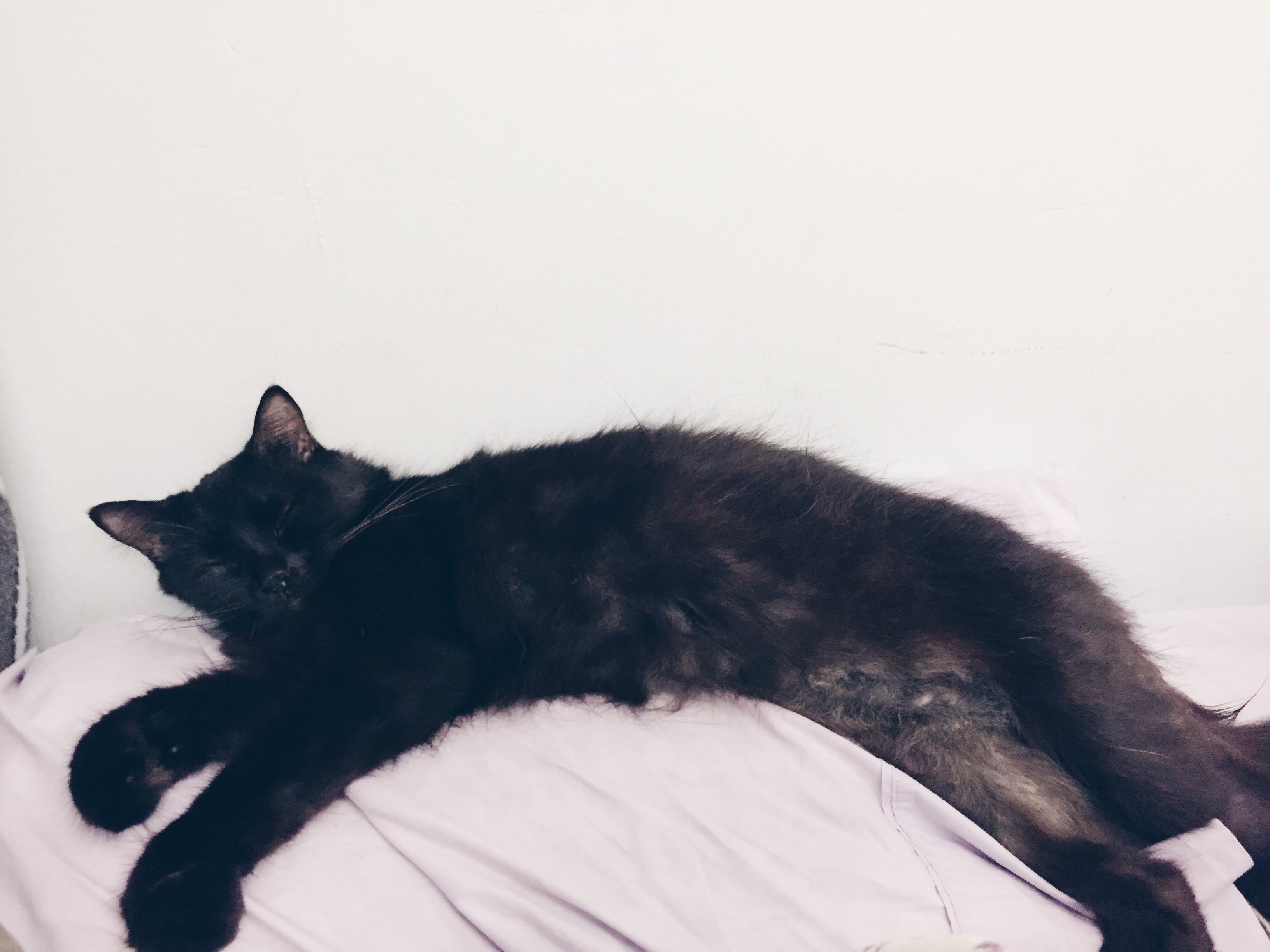 Processed with VSCO with hb1 preset