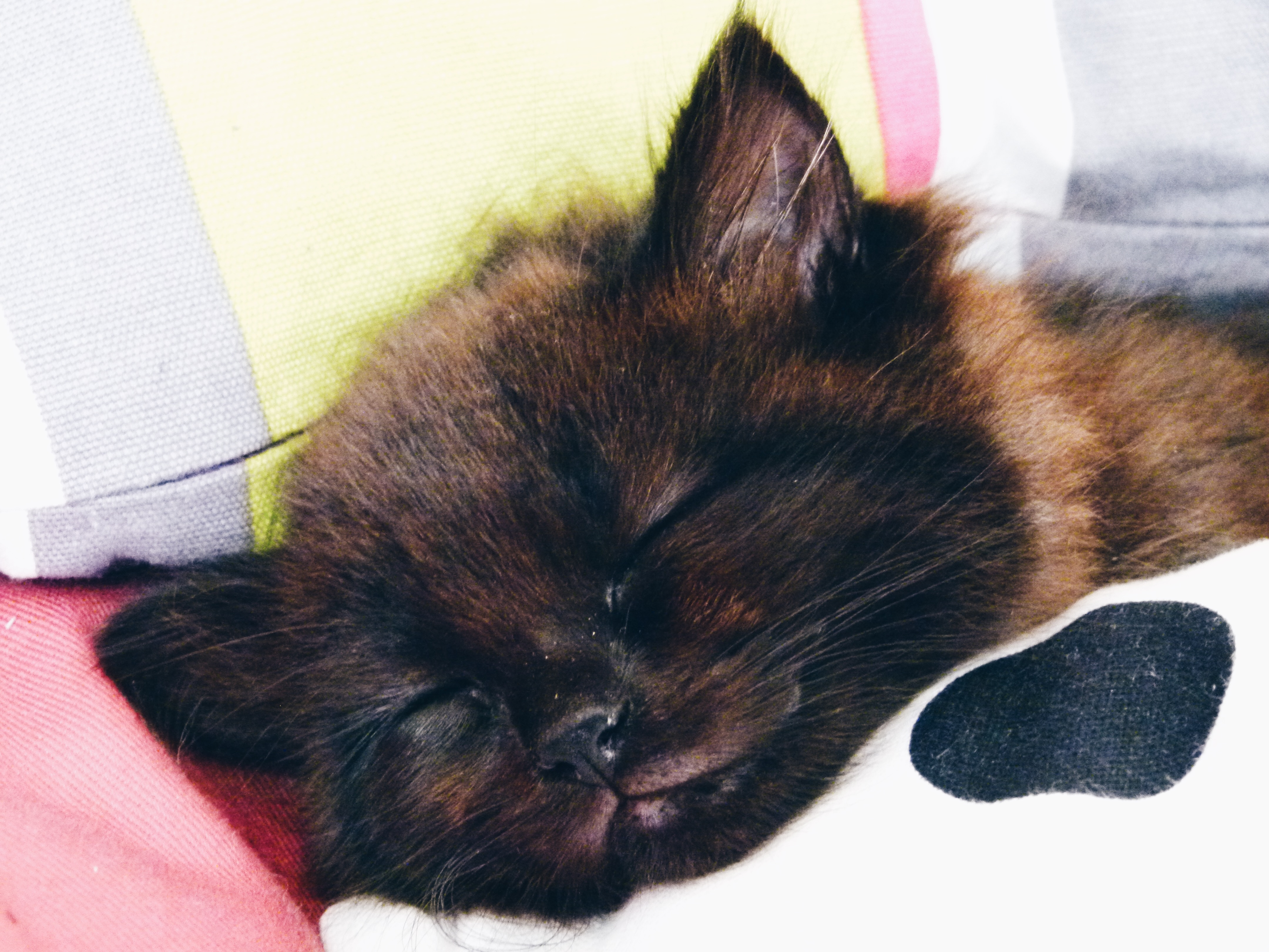 Processed with VSCO with hb1 preset