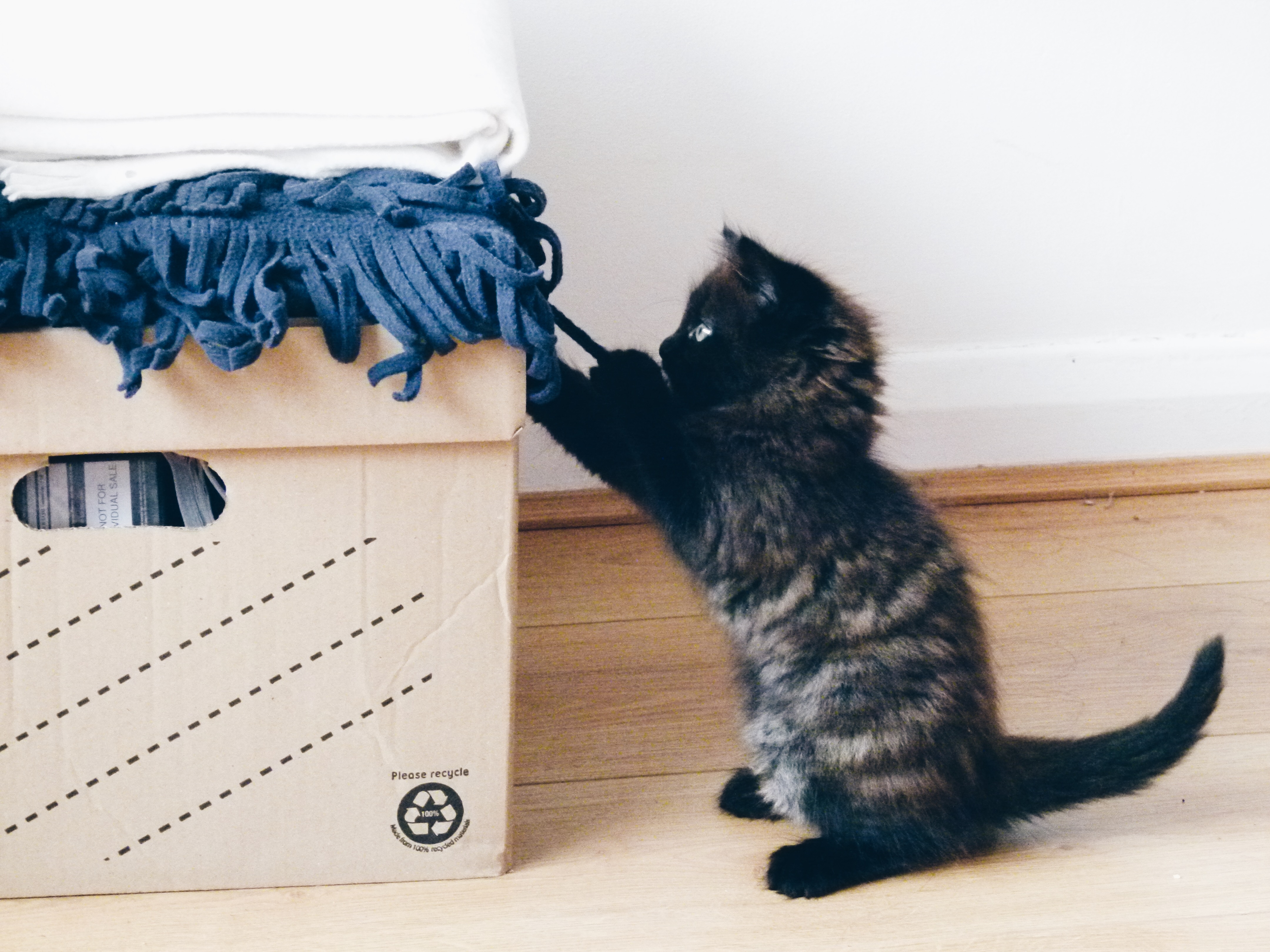 Processed with VSCO with hb1 preset