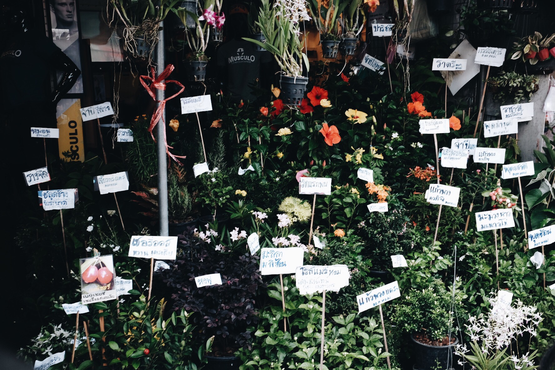 Processed with VSCO with a6 preset