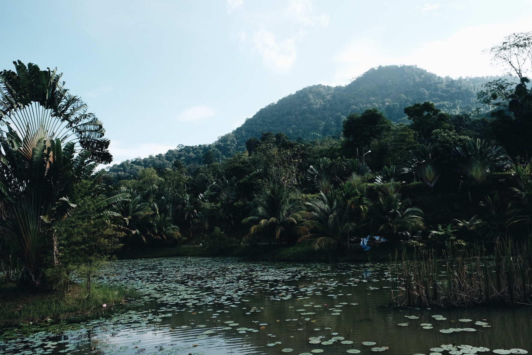 Processed with VSCO with a6 preset