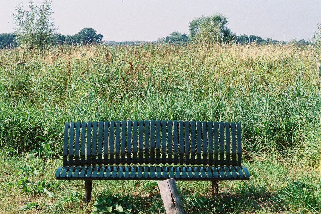 The Pentax Series: Holland