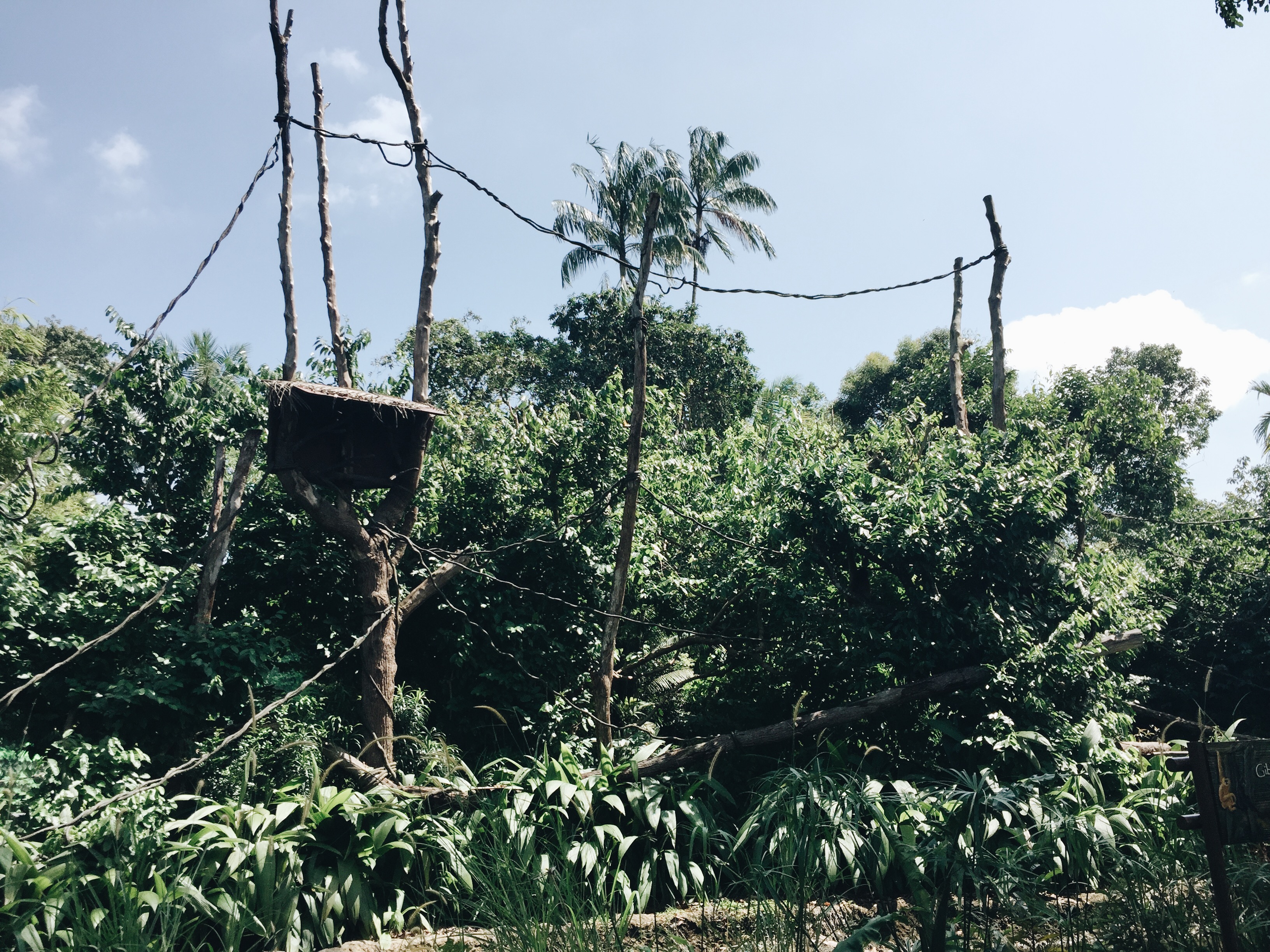 Processed with VSCO with a6 preset