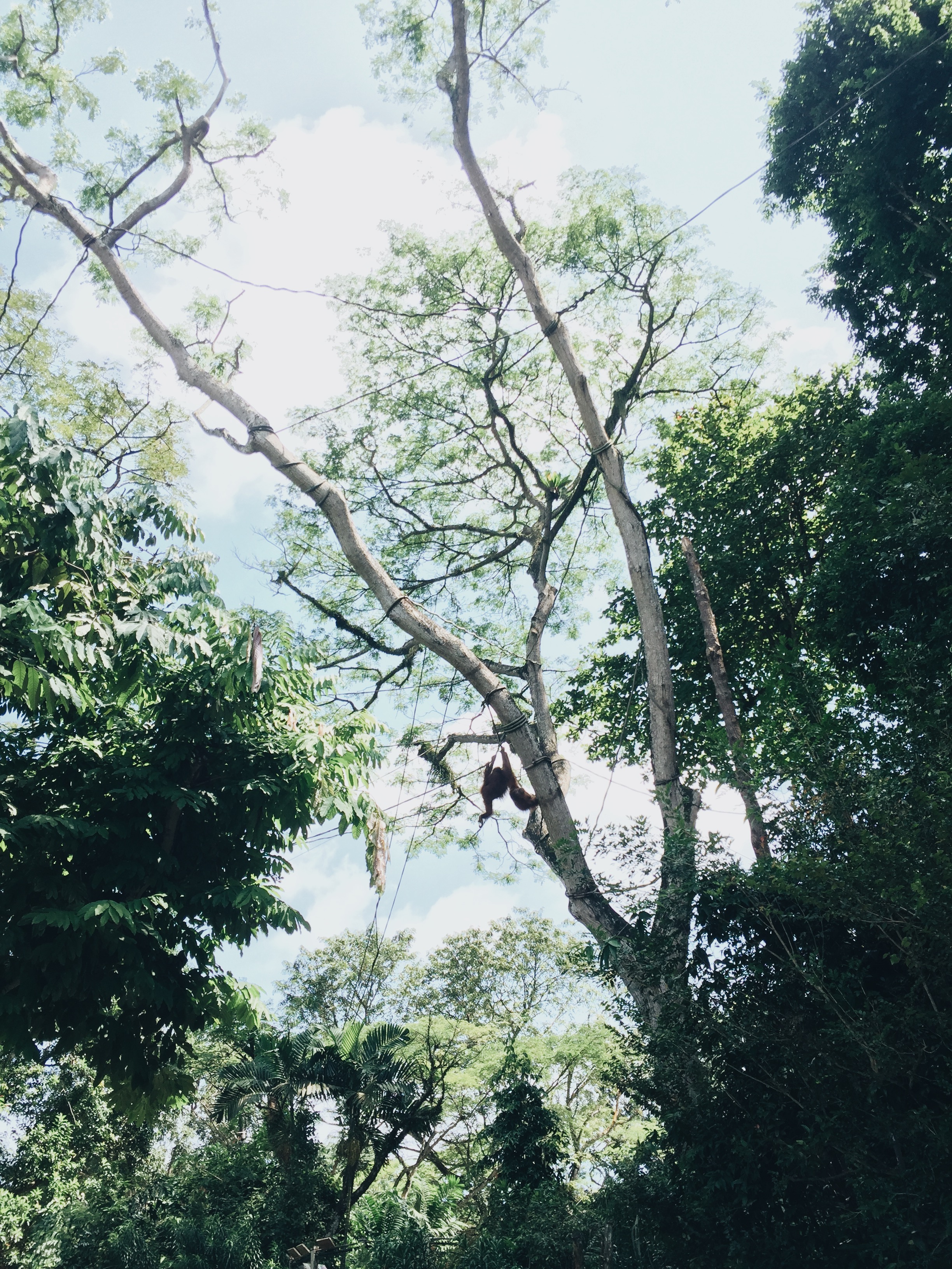 Processed with VSCO with a6 preset