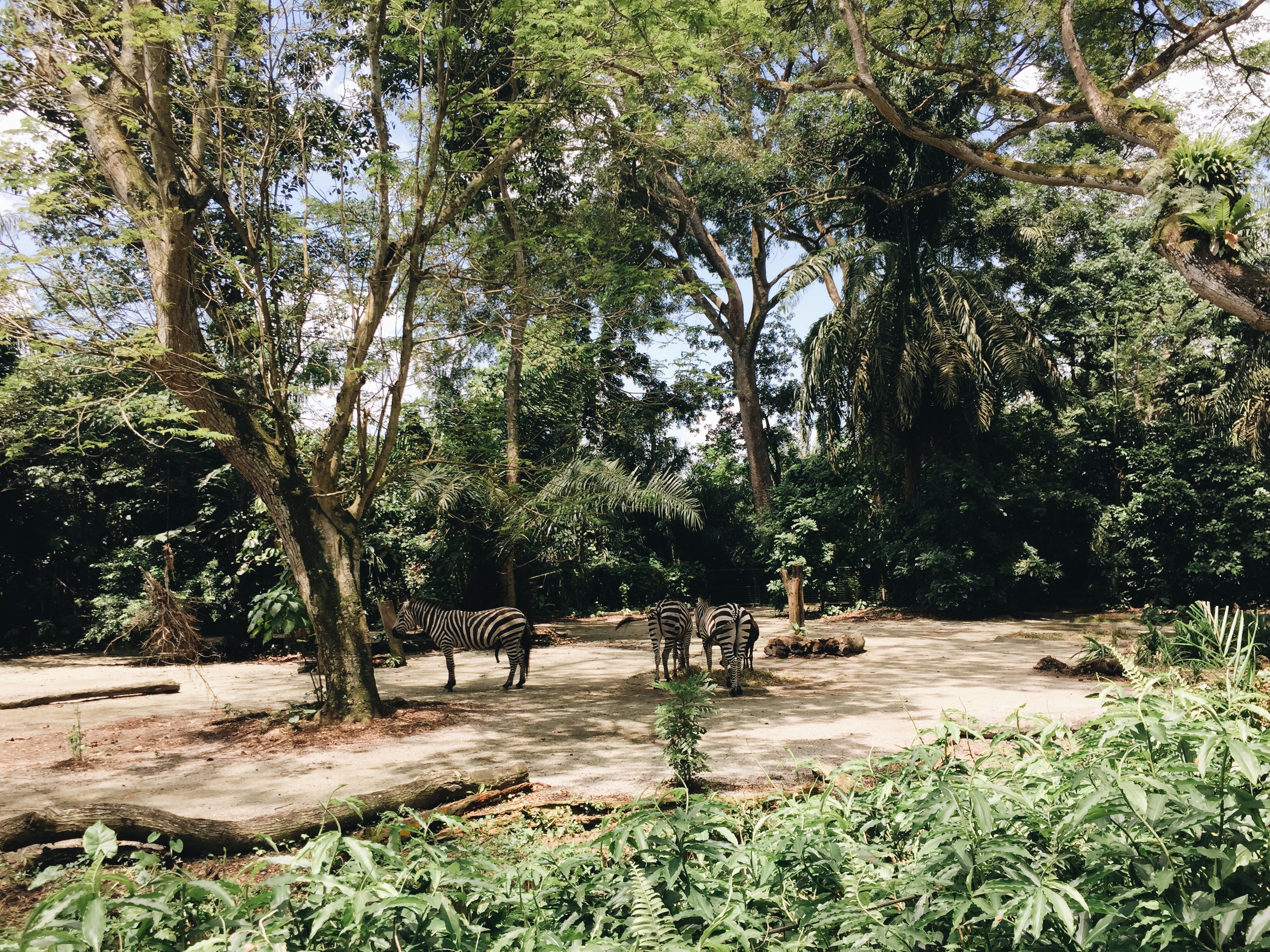 Processed with VSCO with a6 preset