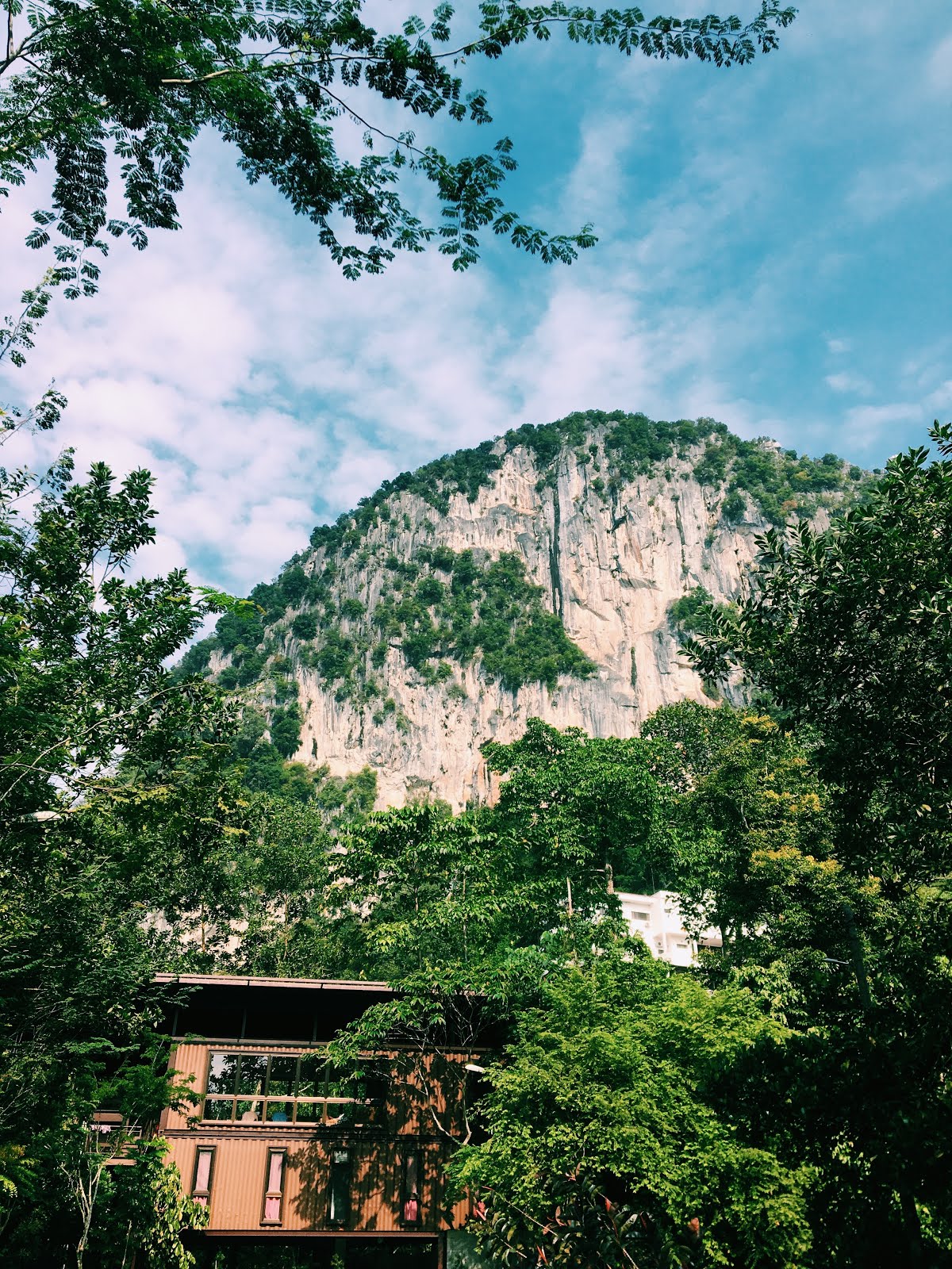 25475695-D0BF-4B4F-8A15-AB5F7F0E0582