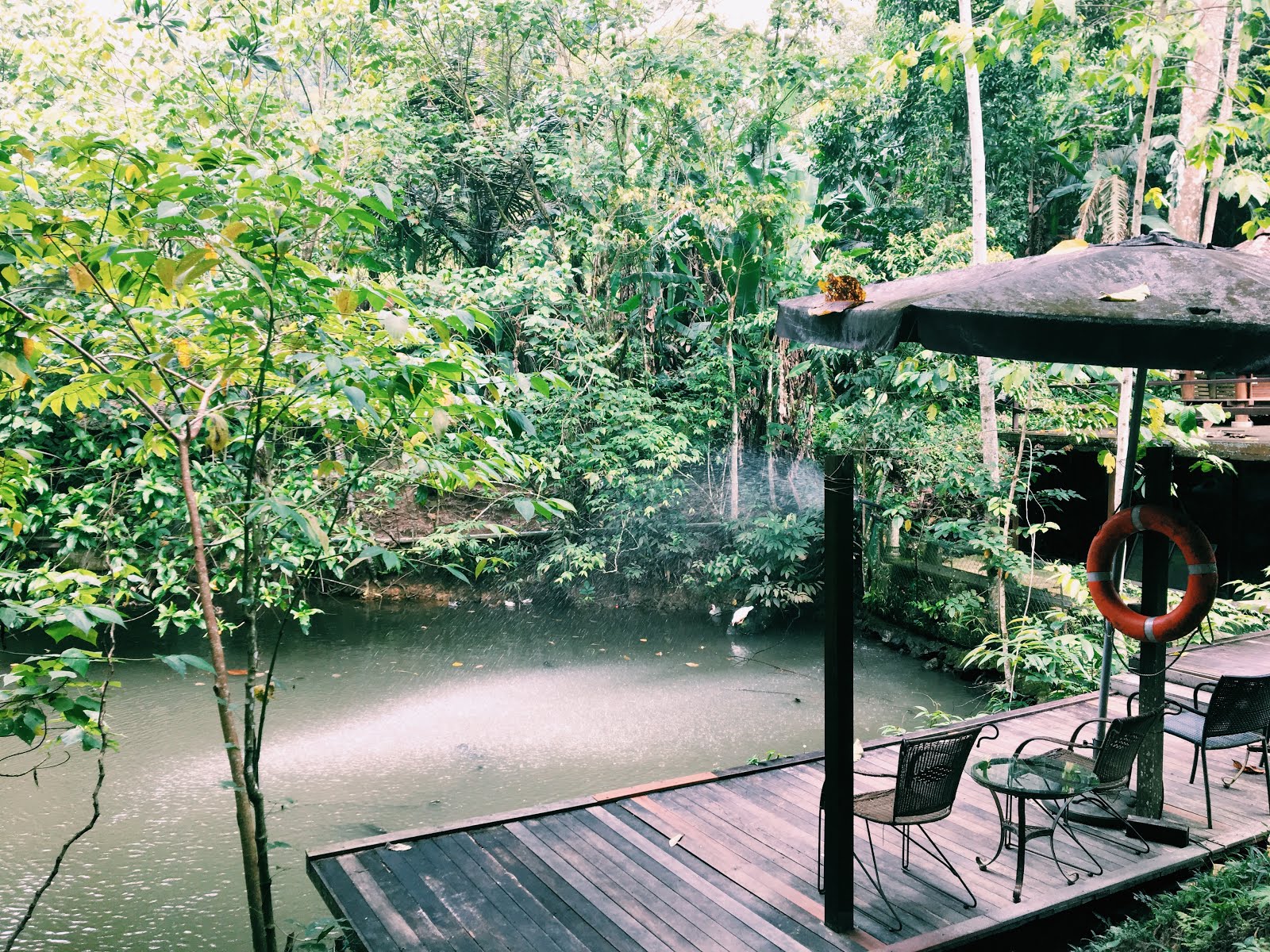 4621800E-169A-4F2B-AC1D-21533745652D