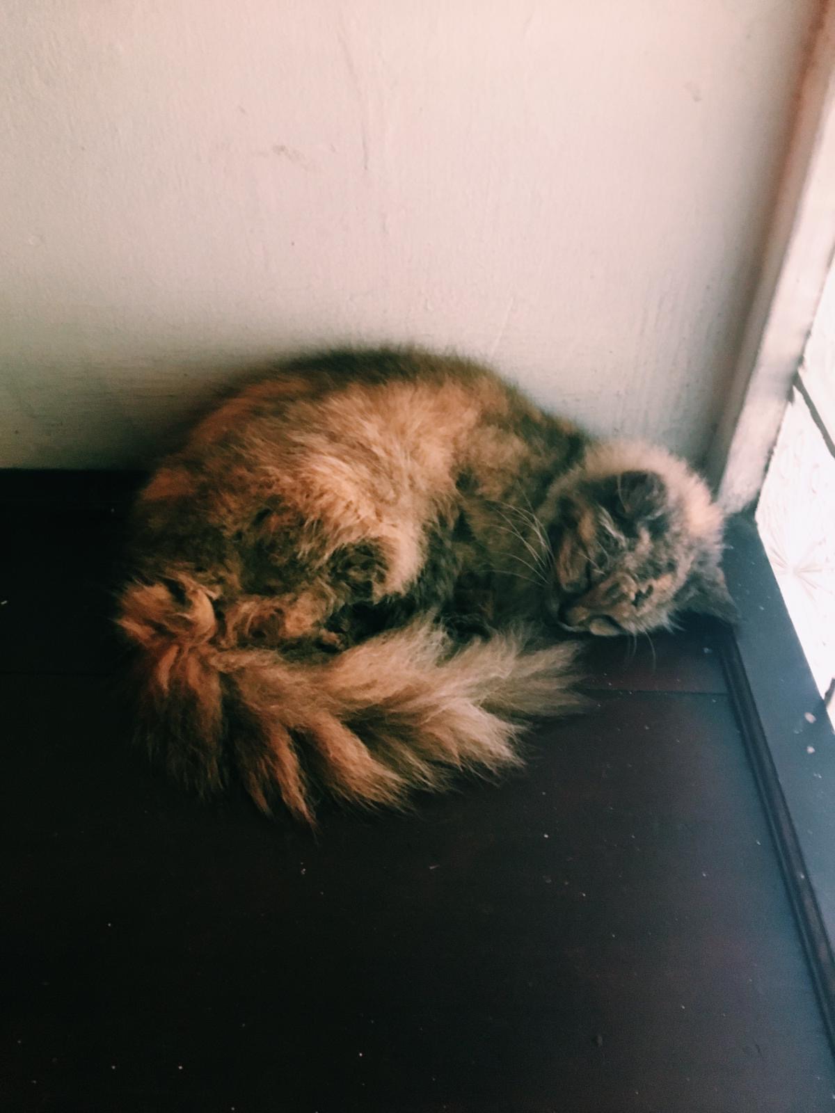 3F0B430D-0BBD-4316-A109-BD03E98EB65A