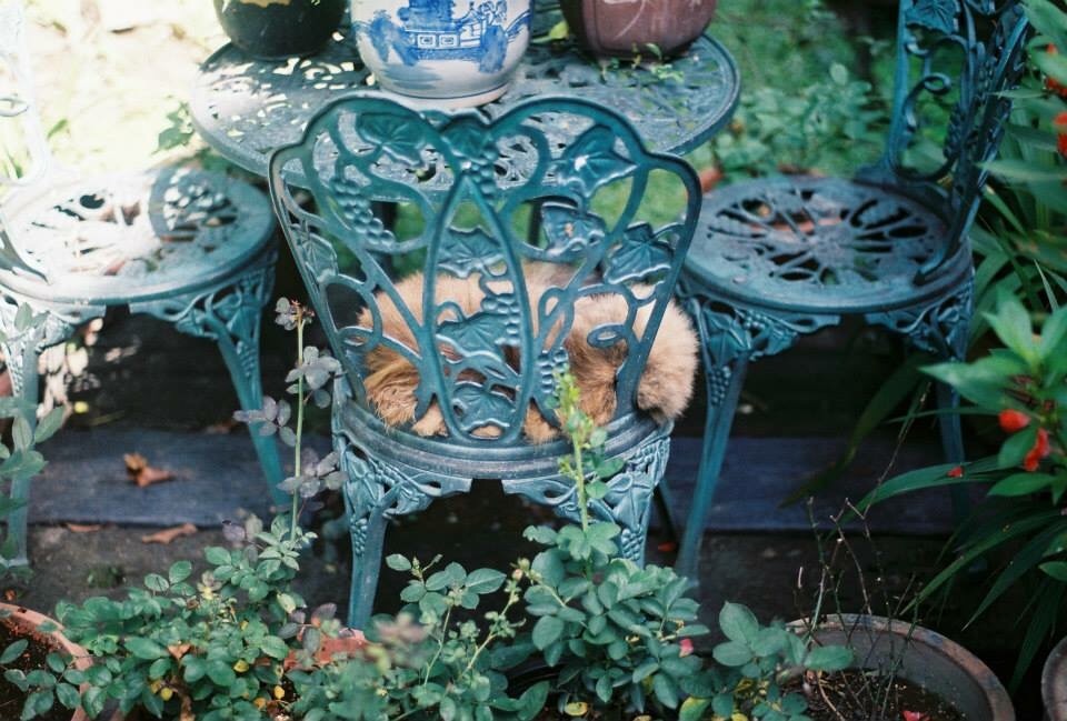 40F59020-D715-46A8-A42C-A8EB003761FB