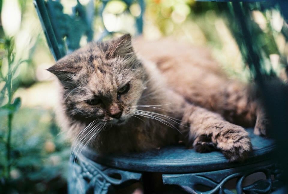 797A1EDF-1DE8-4D9B-8E55-F168C3159EC9