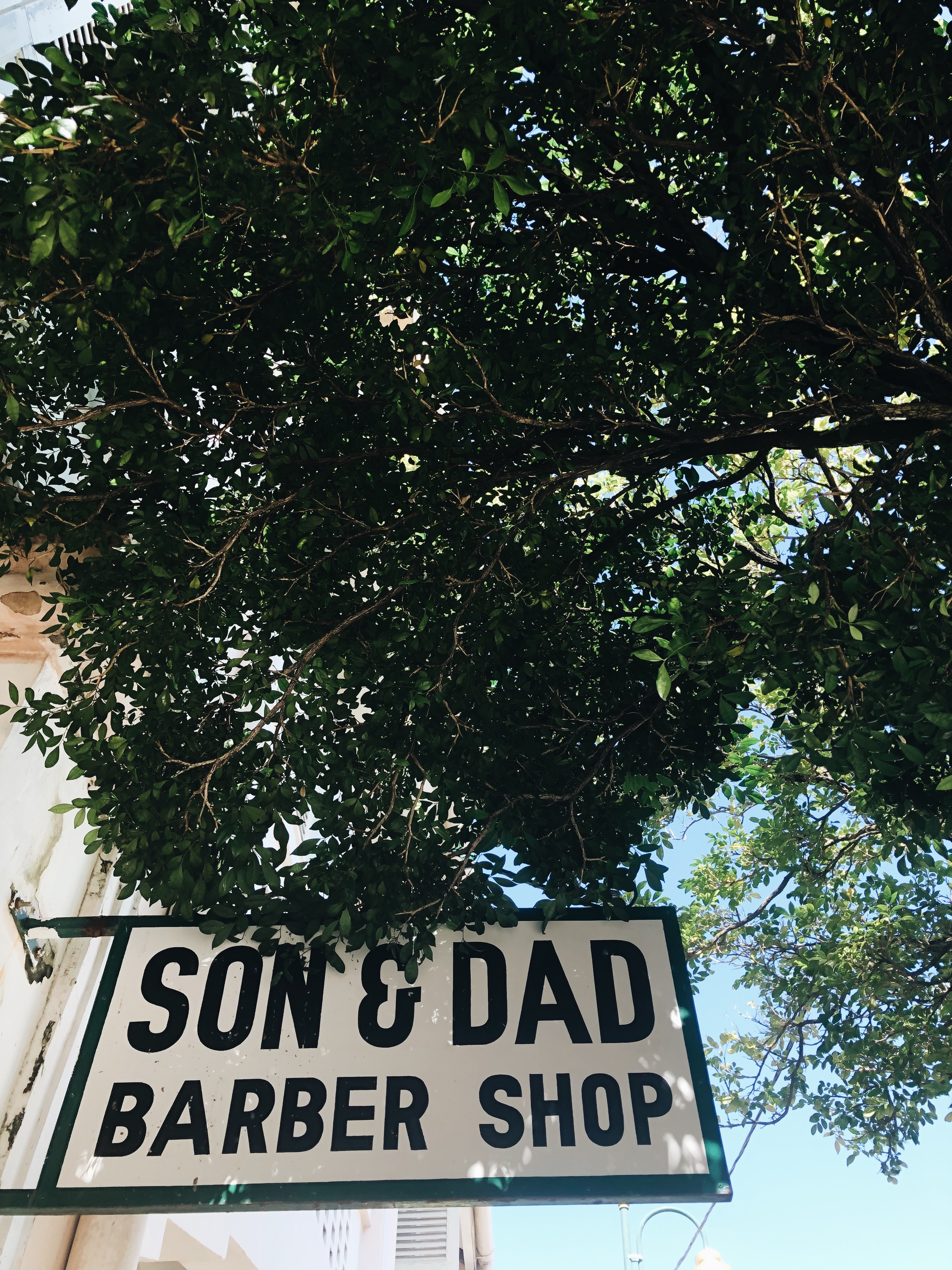 Processed with VSCO with a6 preset